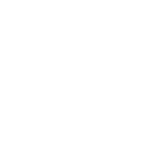 Die Erfolgsgeschichte von Oliver Payer
