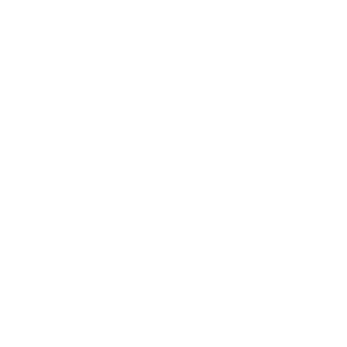 Die Vienna Trail Run Erfolgsgeschichte